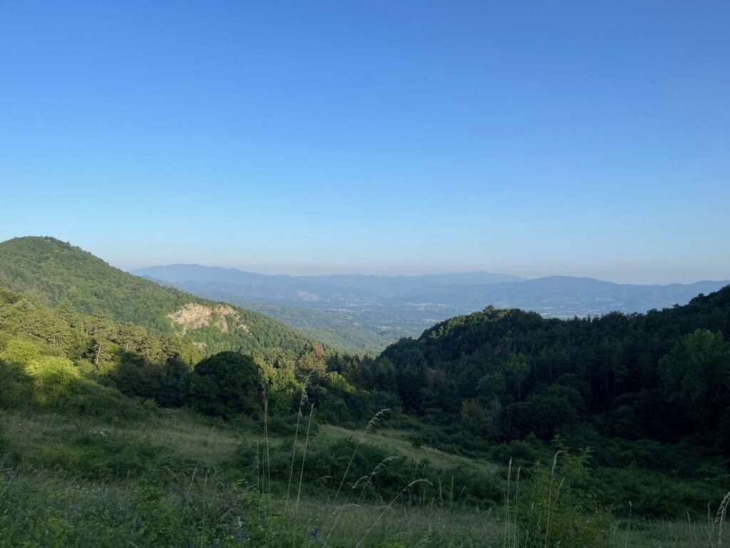 Vista dall'alto di un'ampia valle verde, con boschi in primo piano e file di colline che sfumano verso l'orizzonte.